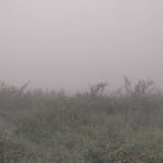IMG-20231007-WA0034