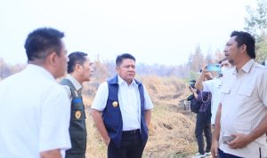 9bdfd1d0-4c46-4fee-8c6d-1aaab5b33845